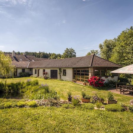 Hotel Penzion U Dracice Nová Bystřice Zewnętrze zdjęcie