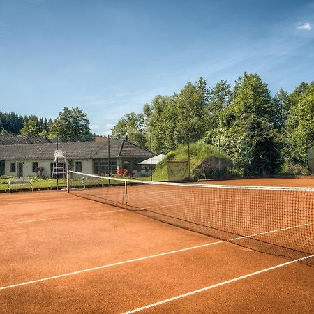 Hotel Penzion U Dracice Nová Bystřice Zewnętrze zdjęcie
