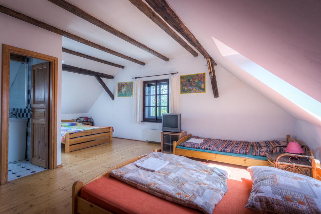 Hotel Penzion U Dracice Nová Bystřice Zewnętrze zdjęcie